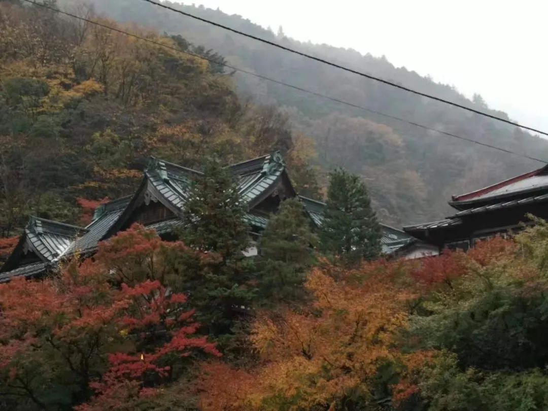 闲舍杂谈丨收藏跑步