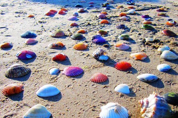 黄金海岸波光粼粼,这片沙滩美得让人窒息