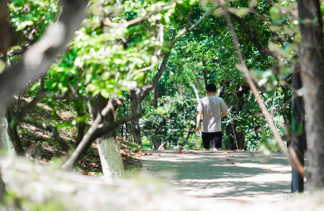 深圳这27个热门游玩地，坐2号线全都能到