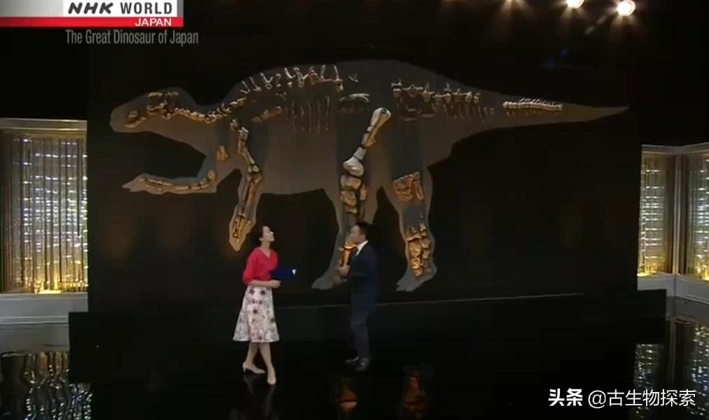 日本第一次在本土发现恐龙化石,发现最不完整的恐龙化石