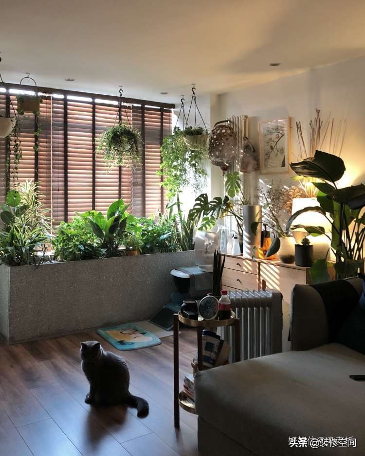 这5个地方装修别花冤枉钱 (给你要的装修省钱防坑攻略)