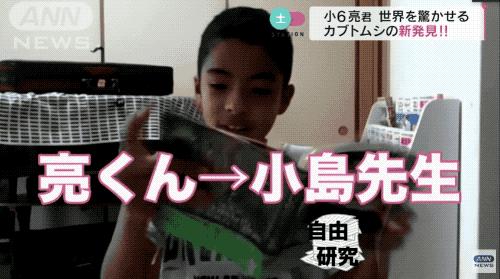 疫情期间12岁小学生做出颠覆常识的发现，以一作身份发了论文