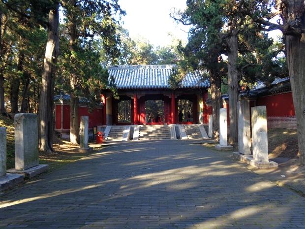 孔林是最大的氏族墓地吗,孔林最大墓葬群