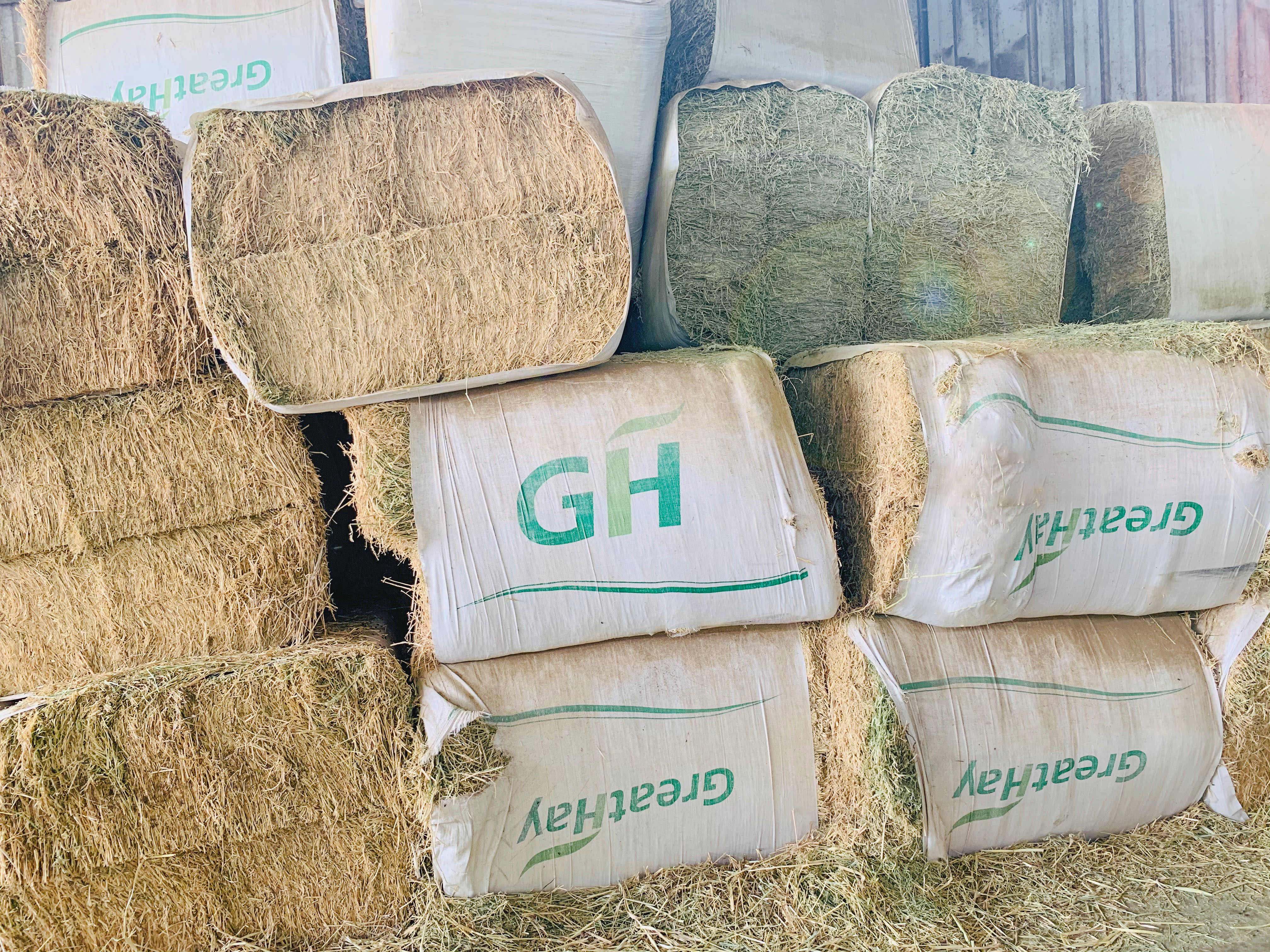 閮戝窞涓嵎涔充笟鐗涗赴閰稿ザ,涓嵎涔充笟鐗涗赴閰稿ザ閮戝窞