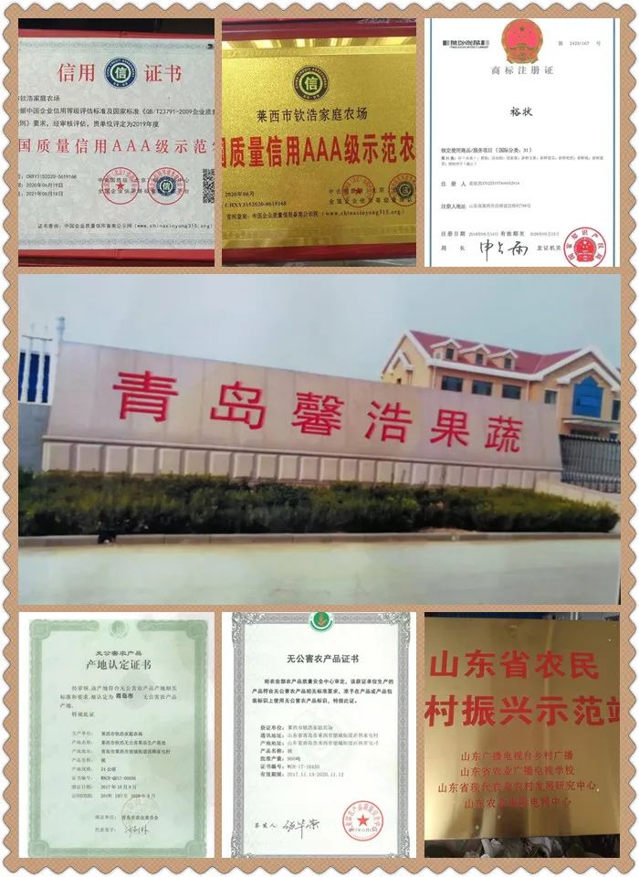 山水望城，“桃”醉你我，通体洁白、如羊脂玉般的蜜桃您见过吗？