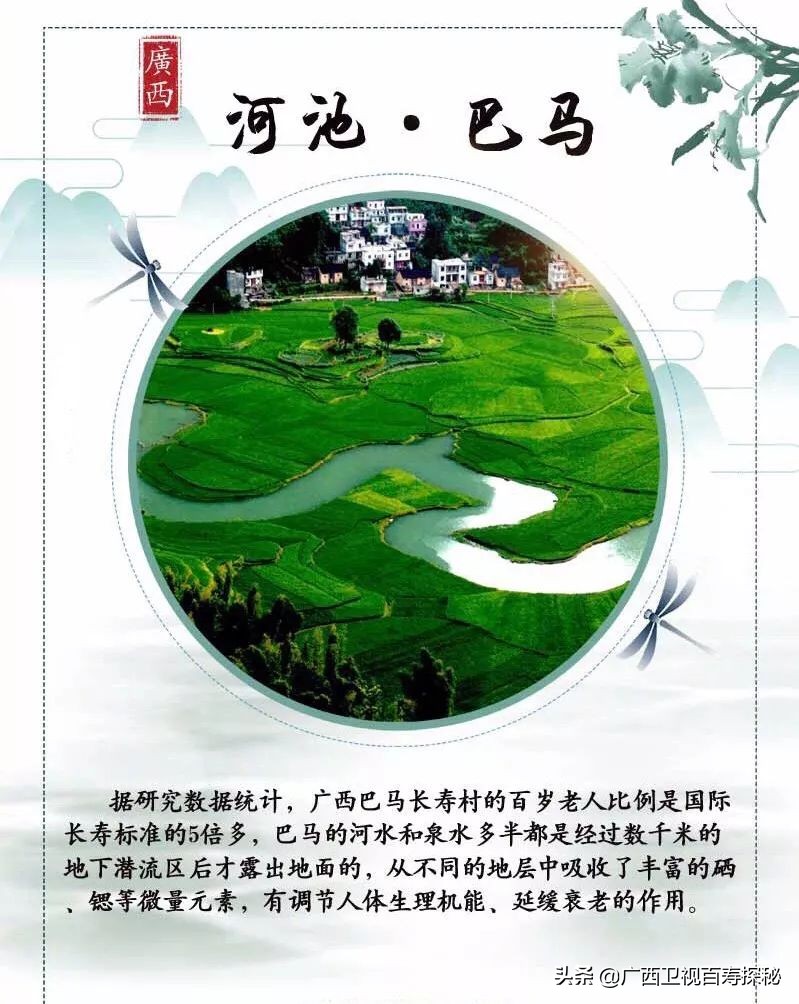 巴马长寿村10年候鸟人真实现状,最新巴马候鸟人真实讲述