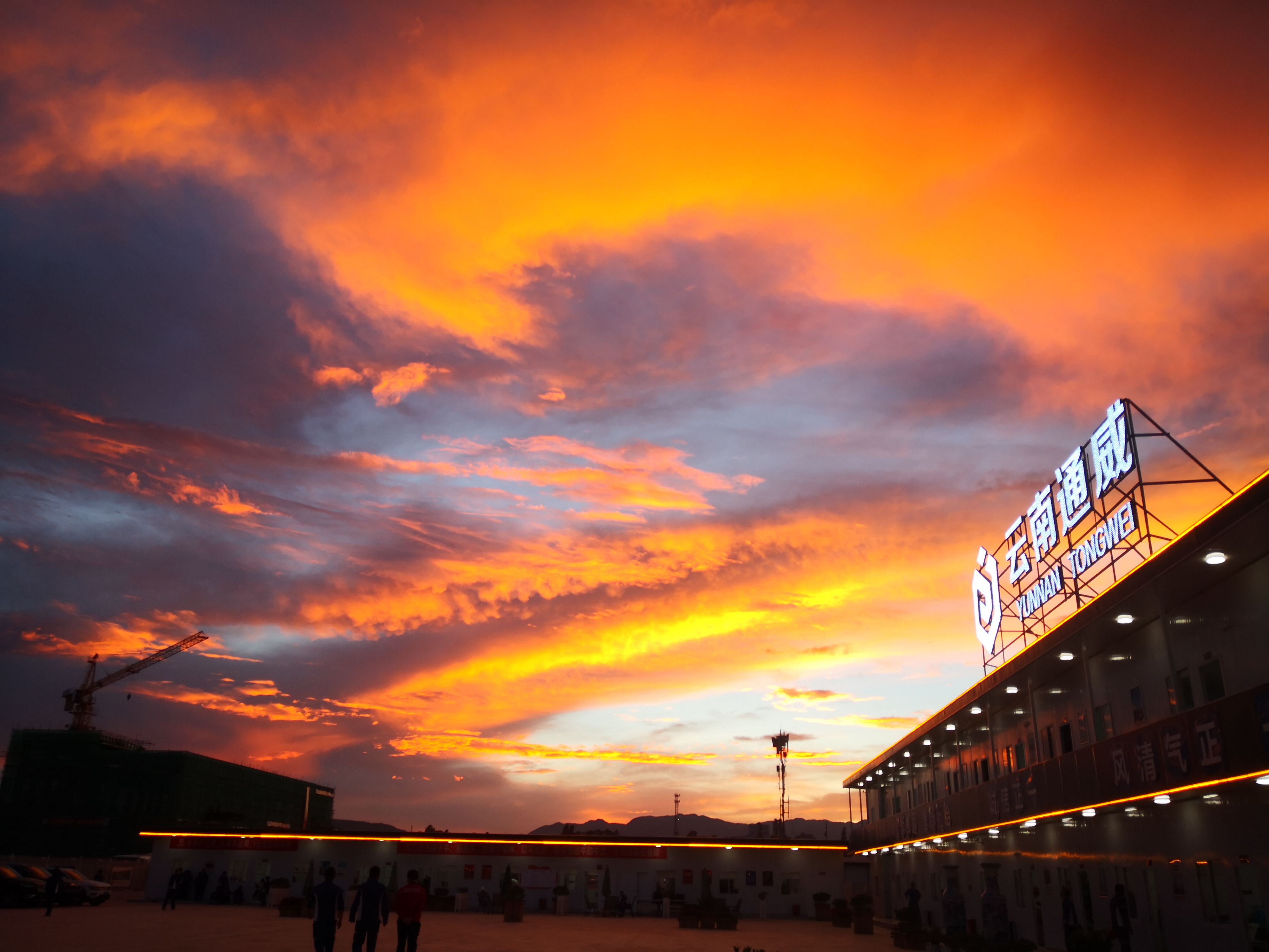 创新驱动医药行业行稳致远,行稳致远推动产业高质量发展