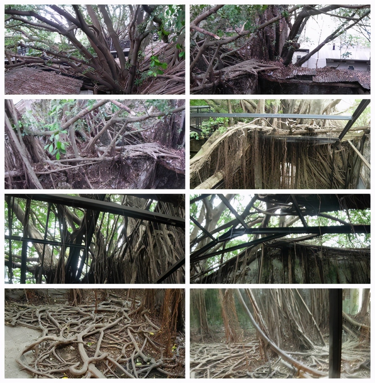 2018年十一月台湾环岛八日游攻略,台湾15天环岛游自由行