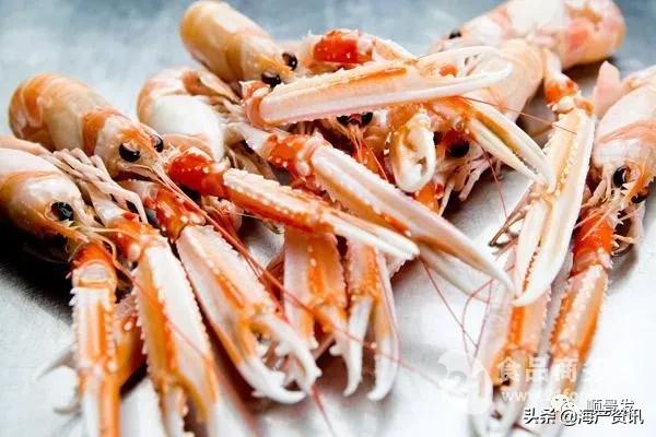 各国海鲜大盘点,今年过年最值得入手的海鲜