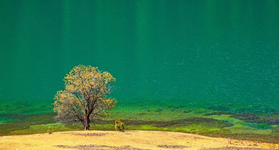 恒大城衡水,衡水市恒大城位置