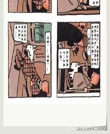 丁丁和丁丁历险记论文,丁丁历险记丁丁的服装