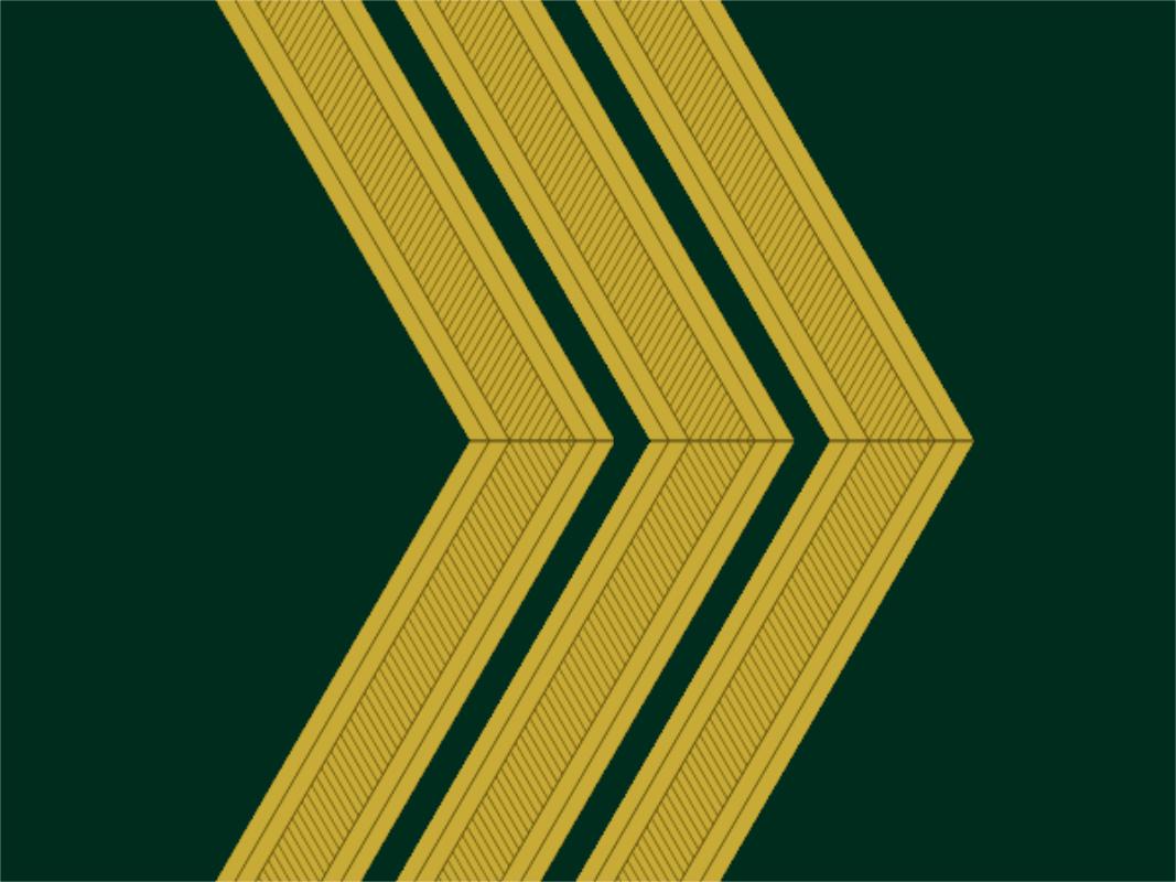 各国军队标识葡萄牙陆军,各国军衔标识葡萄牙