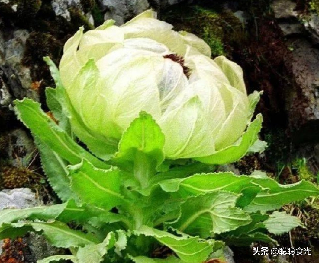 新疆真是个好地方风景如画,新疆真是个神秘又美丽的地方