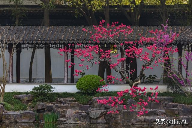 苏州园林之留园中国四大名园之一,苏州园林之美