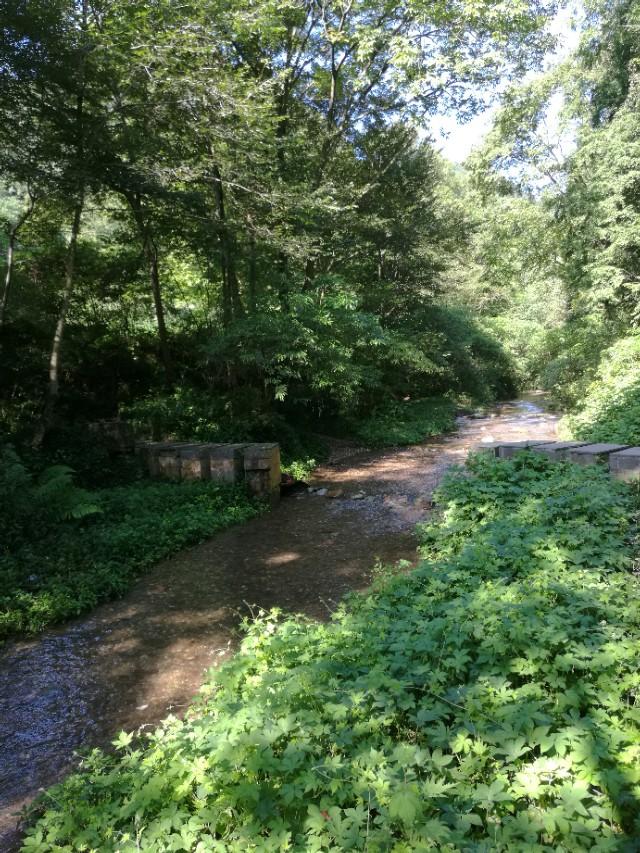 带着93岁老母亲旅行,抬着90多岁的老母亲上山旅游