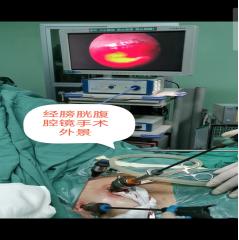 山东治疗泌尿外科比较好的医院,山东大学附属医院泌尿外科专家