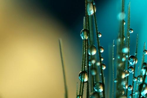 励志语录努力做一个积极向上的人,心灵鸡汤积极向上