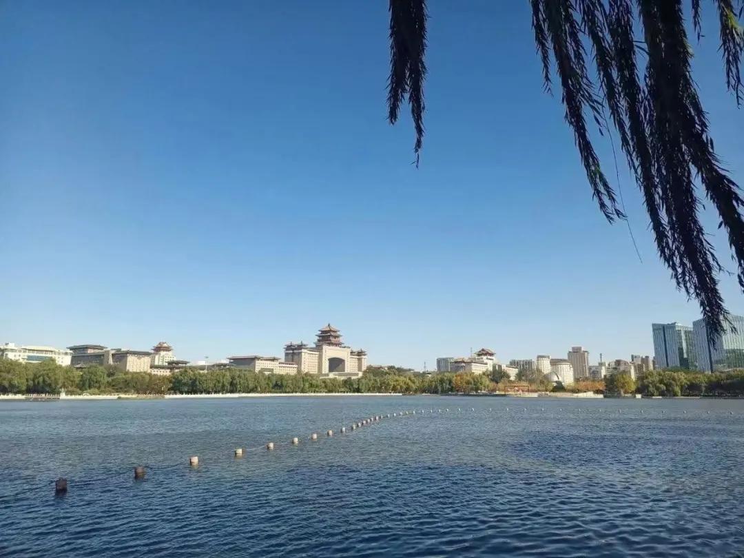 创森进行时丨立冬后，我把丰台的秋，收进了相册里