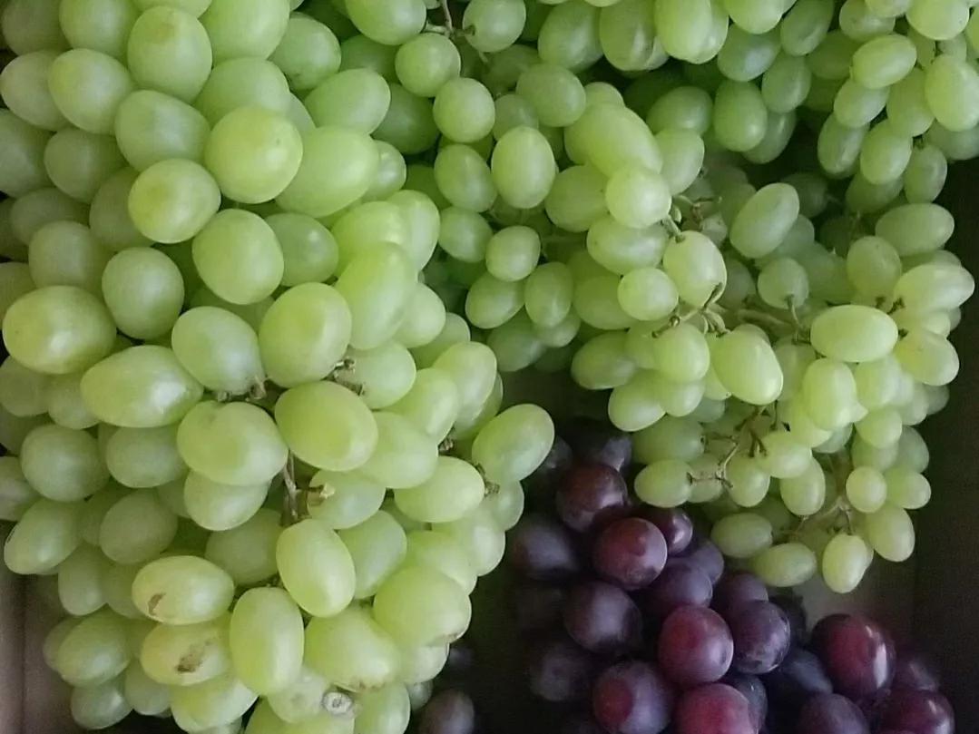 中秋节送礼指南让你送礼不再难,中秋节送礼一般送什么实惠的