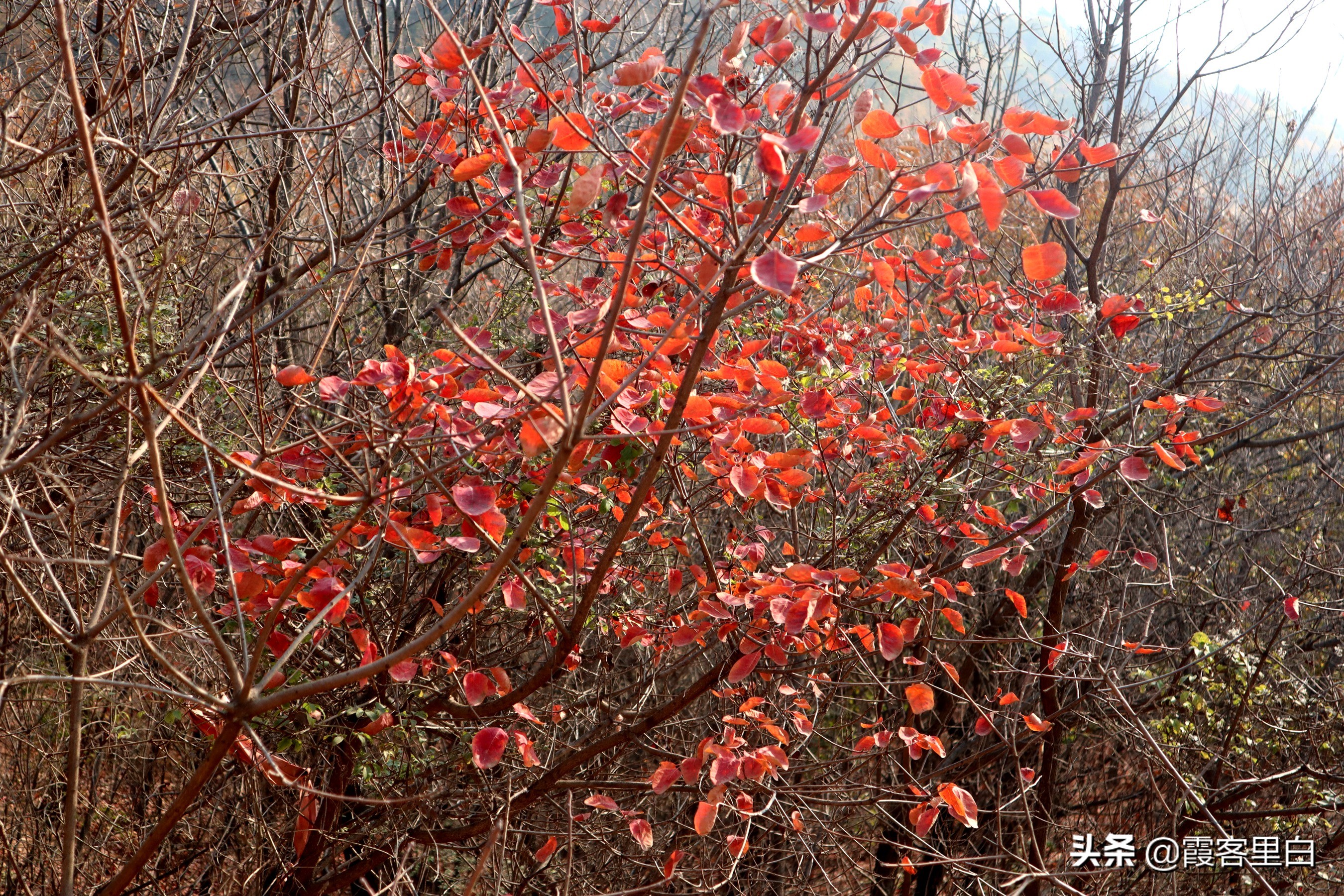 汝州紫云山观音庙,河南汝州紫云山观音堂