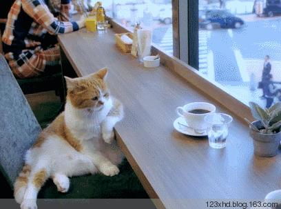 上厕所用经典词语怎么说,上厕所用英语说怎么说