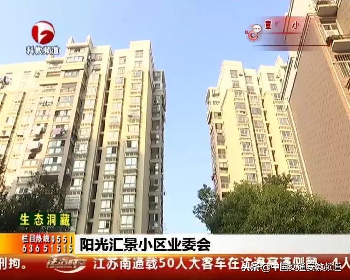 合肥物业与业主吵架视频,阳光物业与业主打架