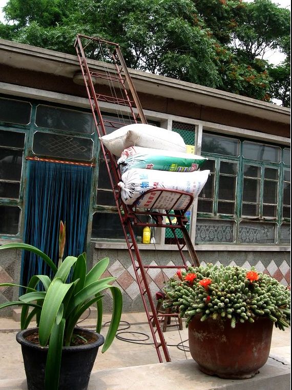 中国民居的演变过程,中国民居的现代发展