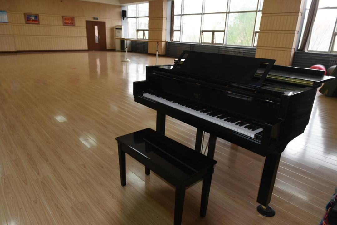 石家庄足球特长生学校排名,石家庄二中足球特长生招生