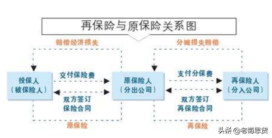百年人寿保险风险高,百年人寿保险公司风险等级