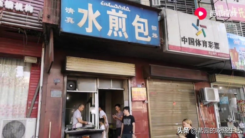 洛阳古都氛围感视频,洛阳古都风情介绍