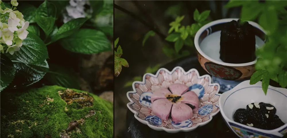 春天的第一杯茶颜悦色奶茶,春天的第一杯竹筒茶