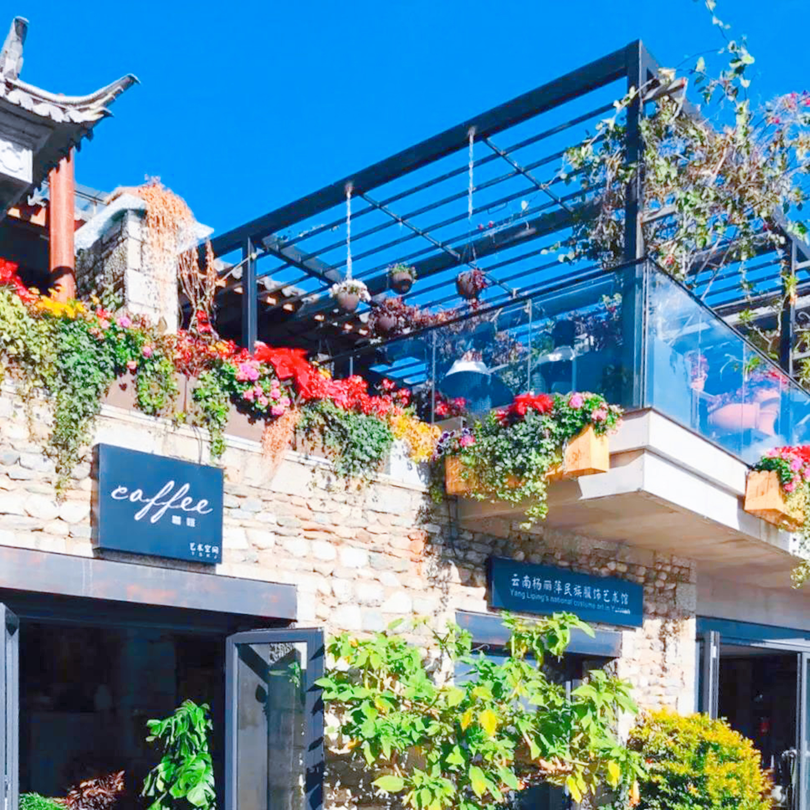 杨丽萍投资多少钱,杨丽萍有多少钱