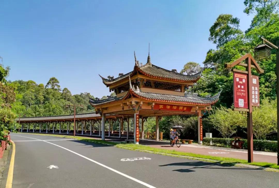 乐山市生态文明,庆祝新中国成立70周年特辑宣讲