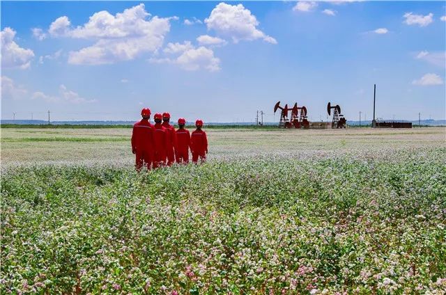 定边采油厂航拍,定边采油厂宣传片