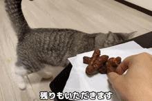 日本小哥吃零食,日本小哥吃垃圾食品