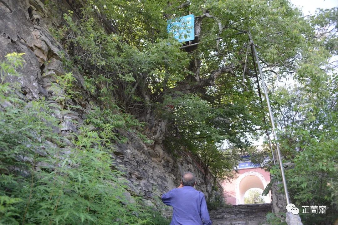 璞珷涔﹂櫌,涔﹂櫌淇濆畾