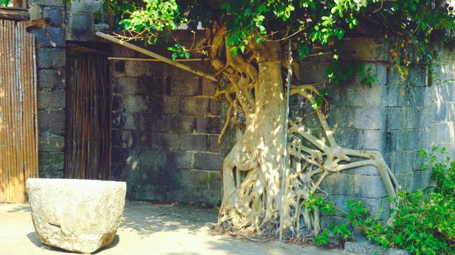 古寨、夕阳、界碑、待嫁的壮族姑娘，广西，原来这么美