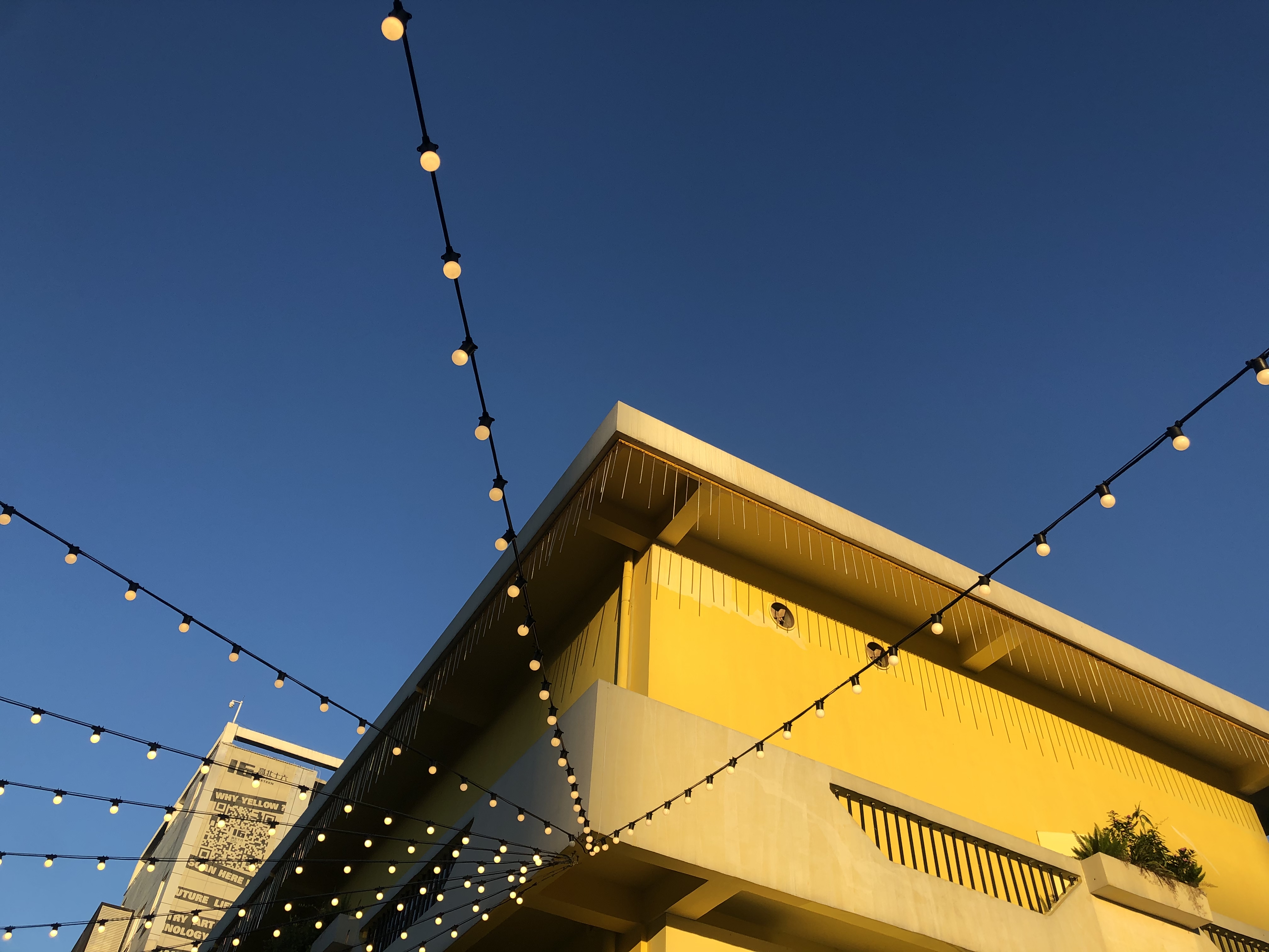 咖啡in深圳——浓意,NOVI,意浓