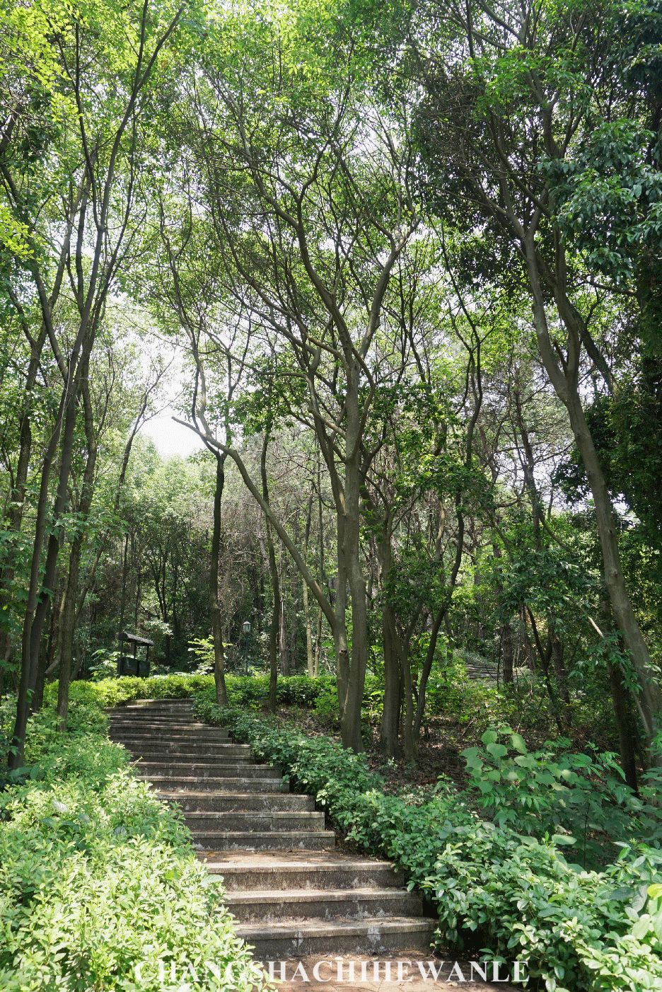 湖南商学院,湖南商学院清吧