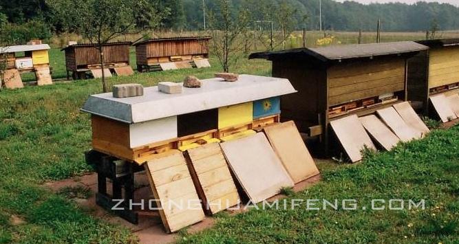 话说江南秋繁那些事儿