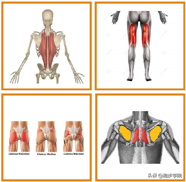 训练8个月，PB250，10大经验拿走不谢