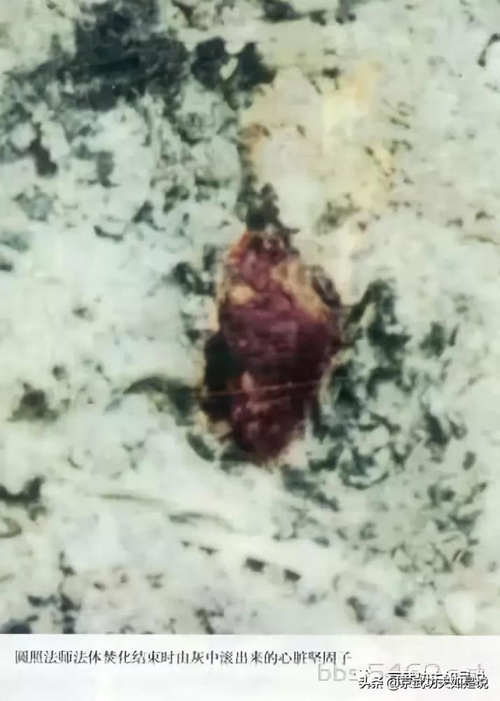 佛学讲的是无佛为什么还要留舍利,为何有高僧圆寂肉身不腐