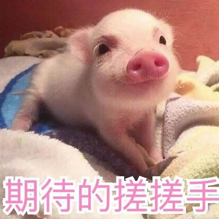 寰俊灏佹潃鎷煎洟鐮嶄环閾炬帴,寰俊鎷煎洟鐮嶄环