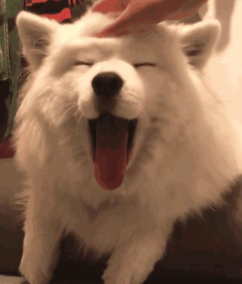 区间统计计算方法,区间统计数据