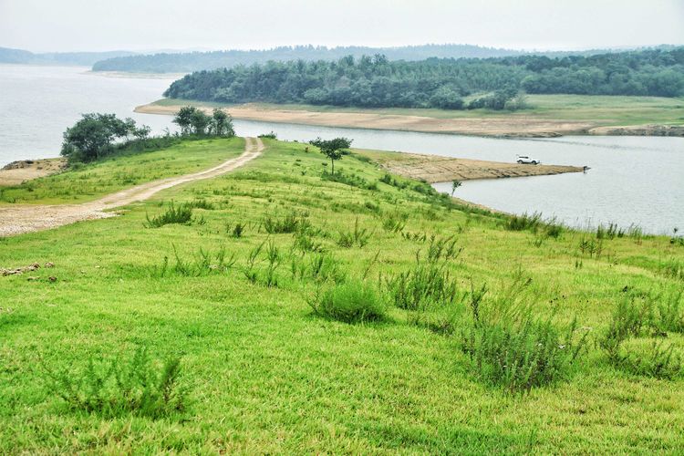 瀹夊窘鐨勫懠浼﹁礉灏斿ぇ鑽夊師,鍛间鸡璐濆皵澶ц崏鍘熻繙涓嶈繙