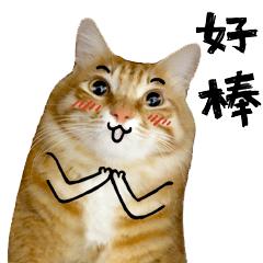 富顺少年宫在哪里,四川富顺小学排名