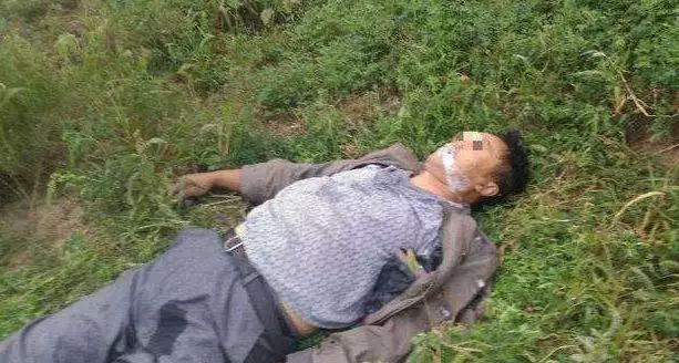 男子40多天毒死7只狗,一对夫妻被投毒