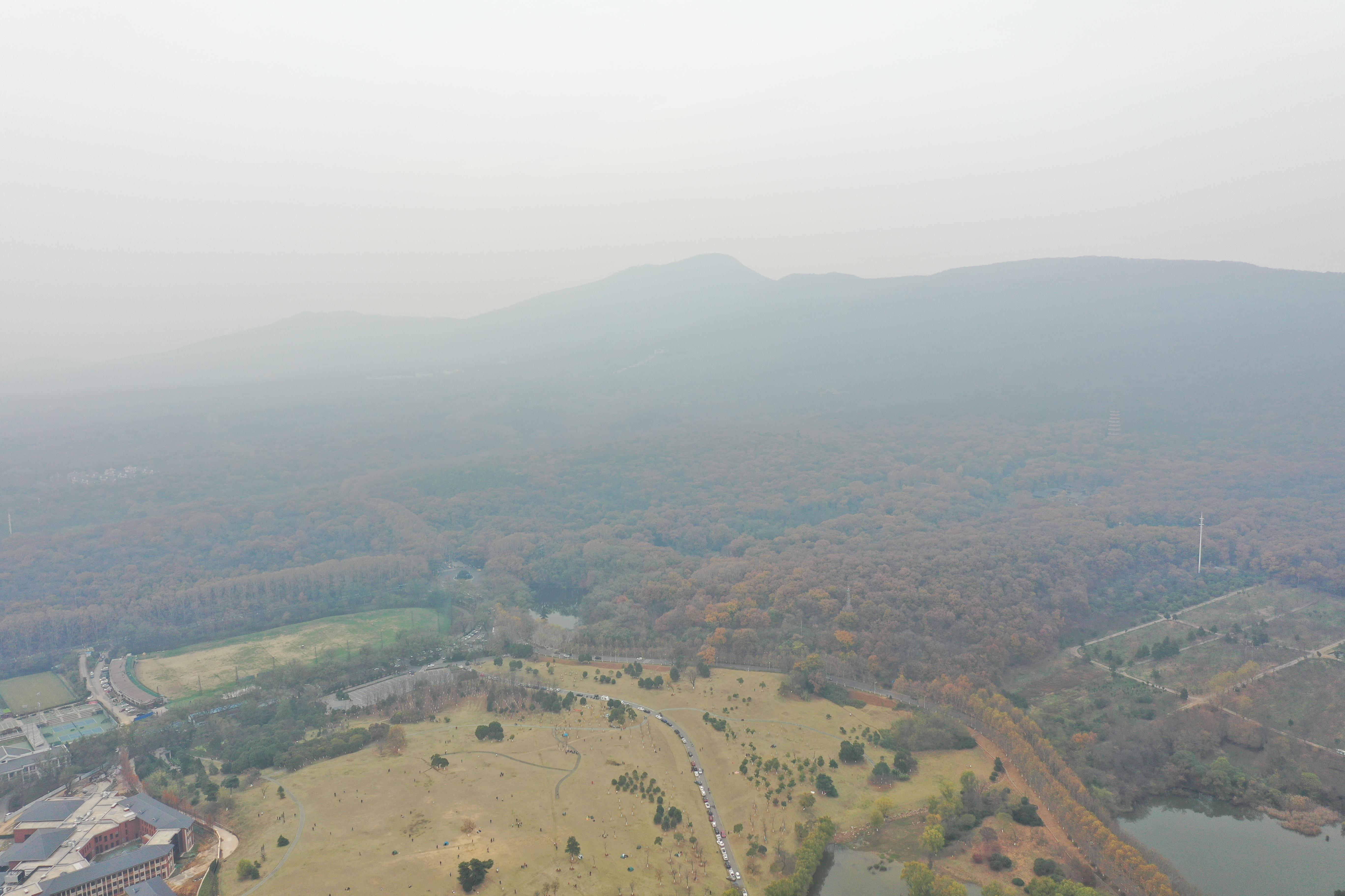 南京最适合夜晚的公园,南京周末户外打卡景点