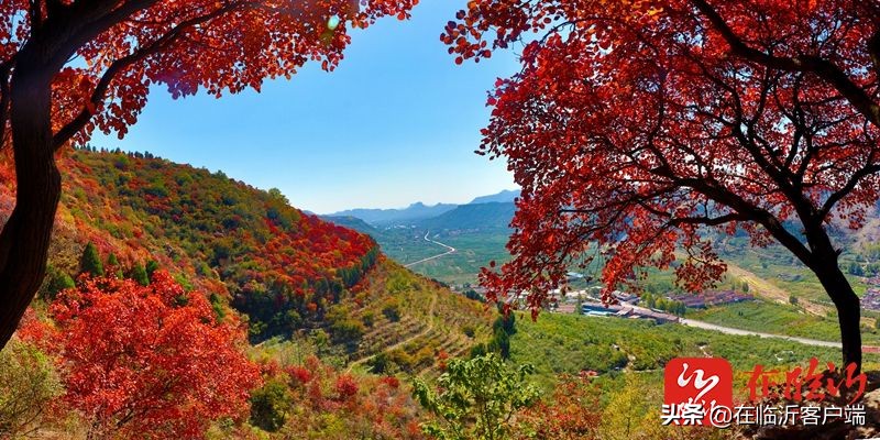 镜观临沂｜临报新闻照片一周精选（2021年10月29日）