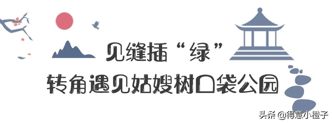口袋公园有多少个,口袋公园一般多大面积